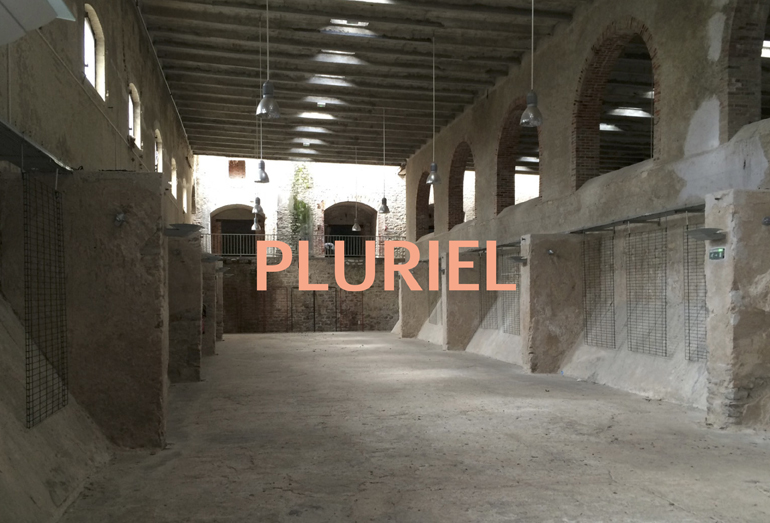 carton pluriel